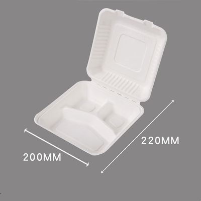 3 Compartment Sugarcane Bagasse Lunch Box Clamshell Containers For Camping Picnic
