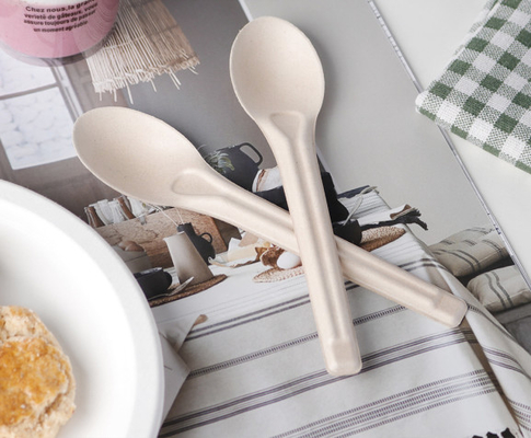 Disposable Biodegradable Compostable Spoons Bulk Cutlery For Dinner 6.5''